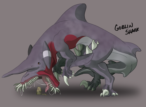 groldergoat:  Because of demand.. here’s a goblin gabite shark~Other species can be found here: http://groldergoat.tumblr.com/post/112491505379/gabites-based-off-my-favorite-shark-species 