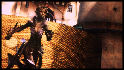 i-got-a-witty-name:“Lion’ Arch isn’t that dangerous. Only 3 people tried to rob me today.”Mhaíri lov