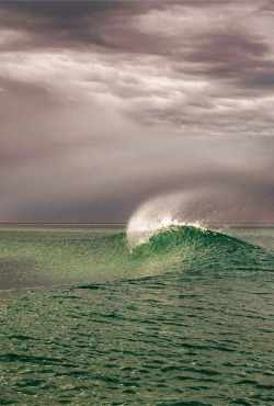 surf4living:  As clean as it gets. Photo by SA Rips 