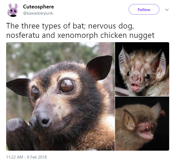 a collection of underrated tweets