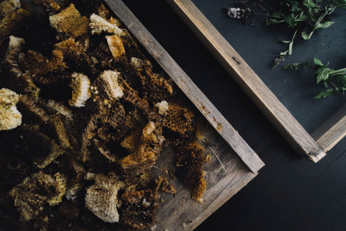 From Nicole’s hive | By Kelly Shea Vancrafted.us 