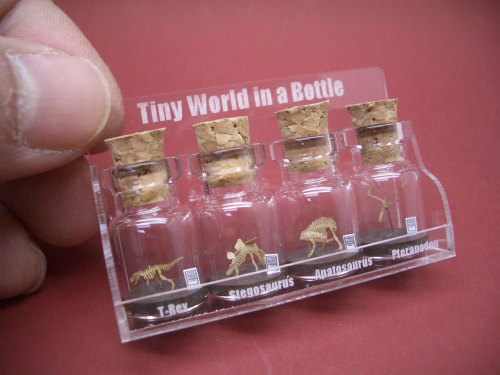 ladyremington:  agirlnamedmomo:  sosuperawesome:  tinyworldinabottle  OH. MY. GOD.   Can we get these for our house babe?