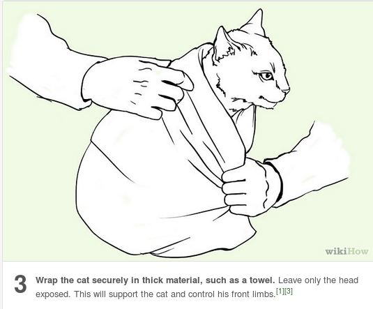 I always see the dog choking info on here, so here’s what to do if a kitty is choking