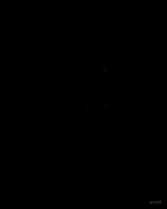 PERRO NEGRO