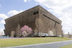 blackhistoryalbum:  Museum of African American