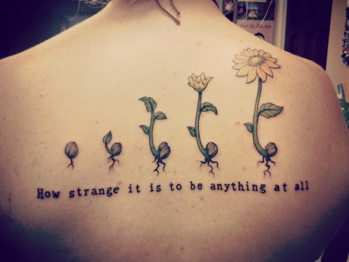 cosmic-cuddles:neutral milk hotel&lt;3