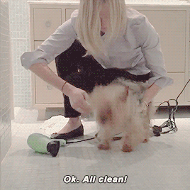 Taylor 02.20 (x) | Karlie 03.25 (x) Kaylor + Showing Us All How To Groom Both Cats And Dogs With The