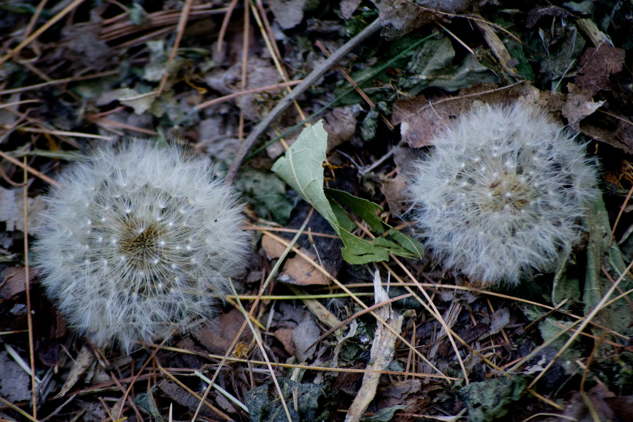 Tumblr Photo