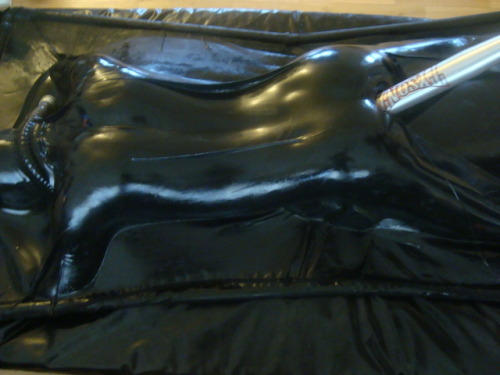 rubberdog76:  Me in my vacuum bed…. New experience the other way around…..