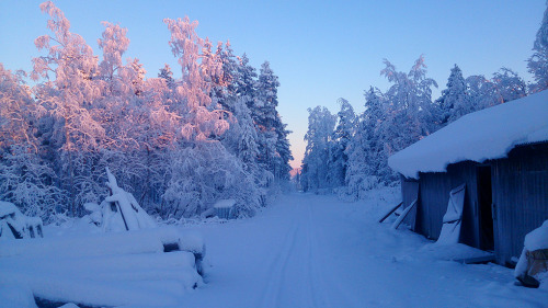 lienwyn - Christmas Eve in Bergnäs. My fingers were stiff from...