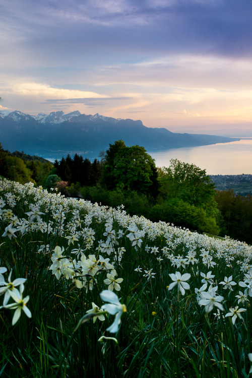 unwrittennature:  Montreux (by 1D110) 