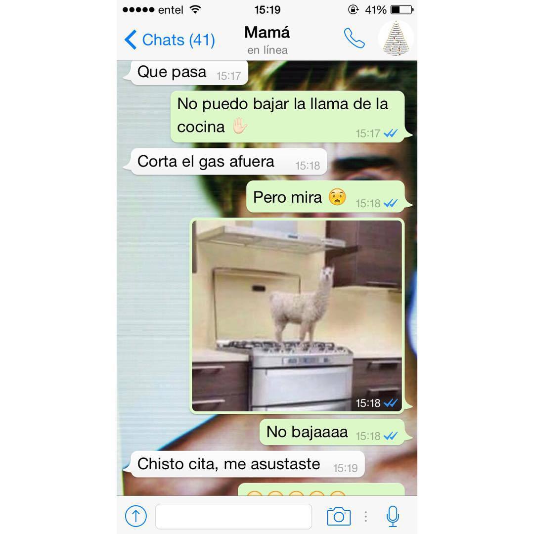 e-r-r-o-r-e-s:  Mamá te amo 😂❤️