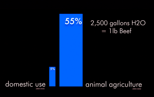 america-wakiewakie:Watch the Film “Cowspiracy” and Find More Facts Here