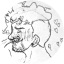 pxppetafterhours