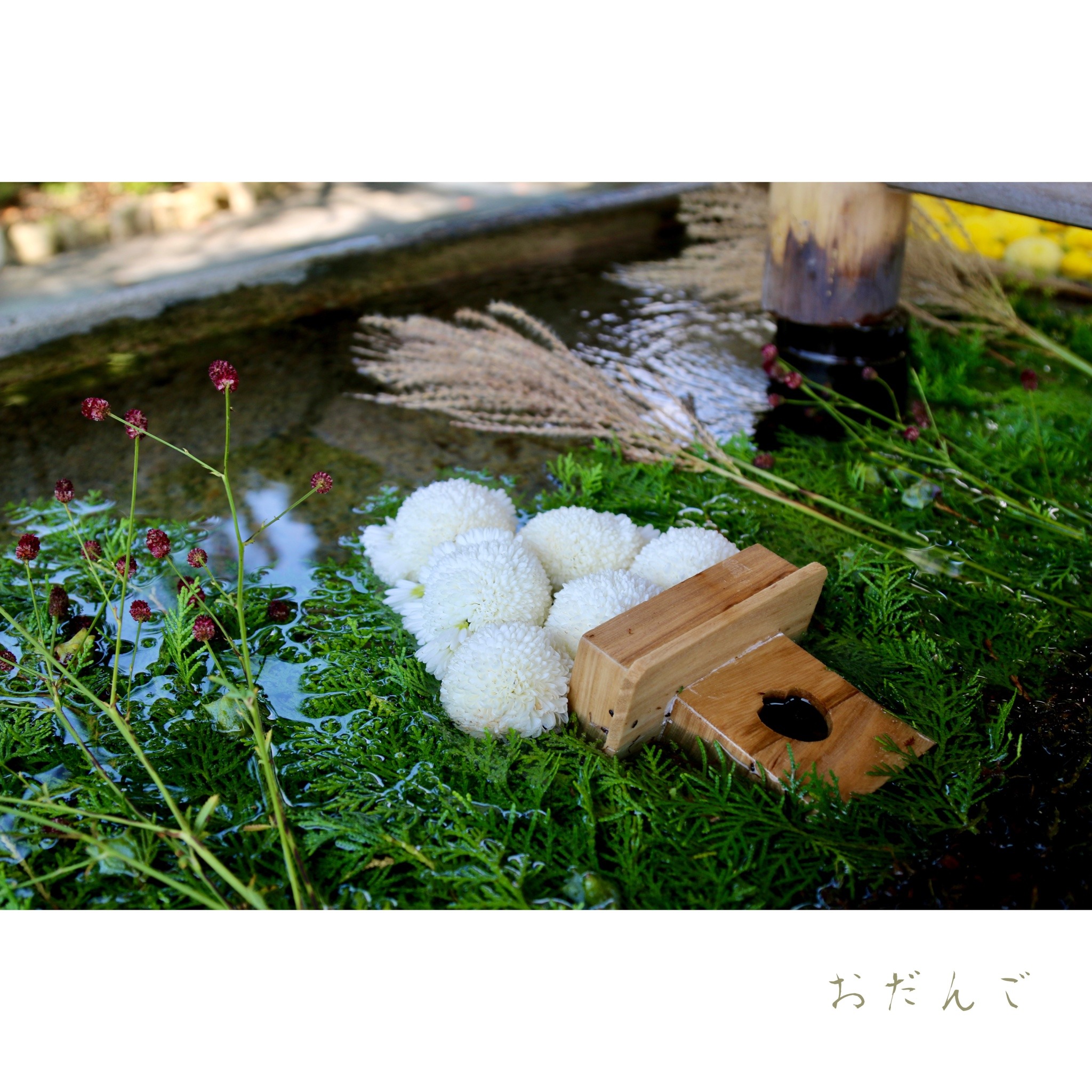 花水月 Explore Tumblr Posts And Blogs Tumgir 花水月 Explore Tumblr Posts And Blogs Tumgir