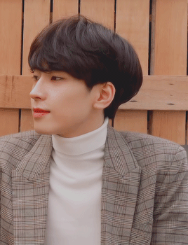 ~Wonwoo Pastry Moodboard~