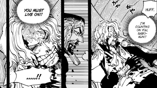 With The Conclusion Of The Luffy Vs Kaido Fight In The Anime Airing Tomorrow I Just Can NOT Stop Thinking
