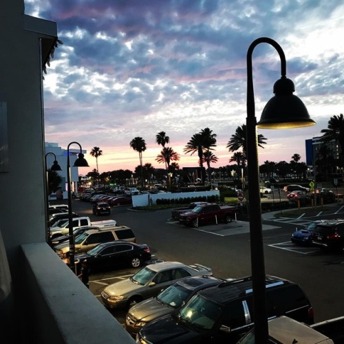 Love where you live 💛   #stpetersburg #florida #latergram #lovewhereyoulive #igersflorida #sunset #allthecolors #clearwater #tampa #palmtrees #neverleaving #love  (at Marina Cantina)