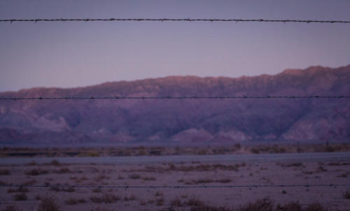 Porn dustinsohn:  Manzanar Internment Camp11/21/15Wow. photos