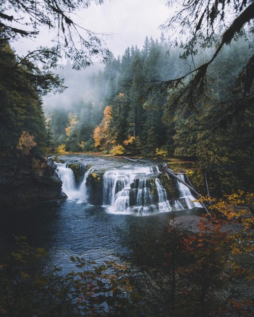 renamonkalou: Washington’s wilderness  📷 Jack Mcdermott