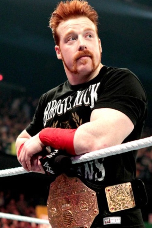 superstarsanddivaswwe:  I miss his cute face! Get well soon, Sheamus! ❤