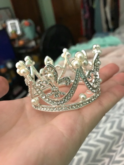 coolcatgroup:Princess Tigerbelle’s tiara came today!!! She is officially a princess!!! I&rsquo