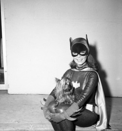 the60sbazaar:  Batgirl Yvonne Craig sits