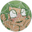 thcseturtles