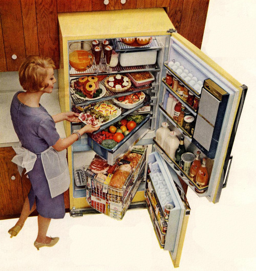 rogerwilkerson:1960 GE RefrigeratorNow that’s cool!