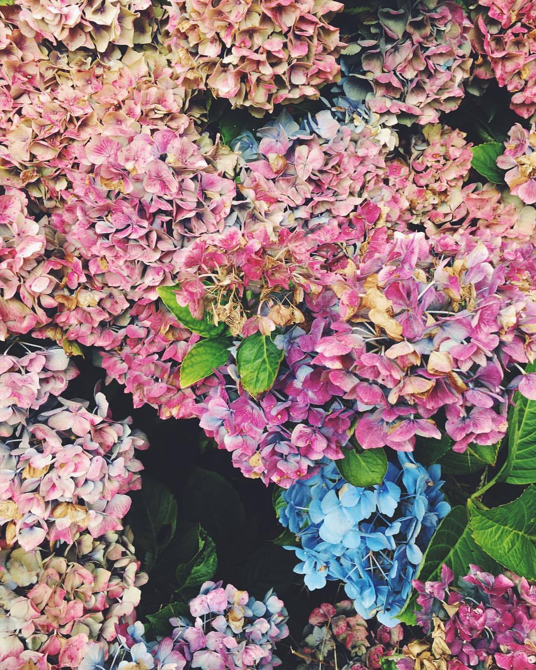 Xxsonoxx Tumblr Blog Tumgir