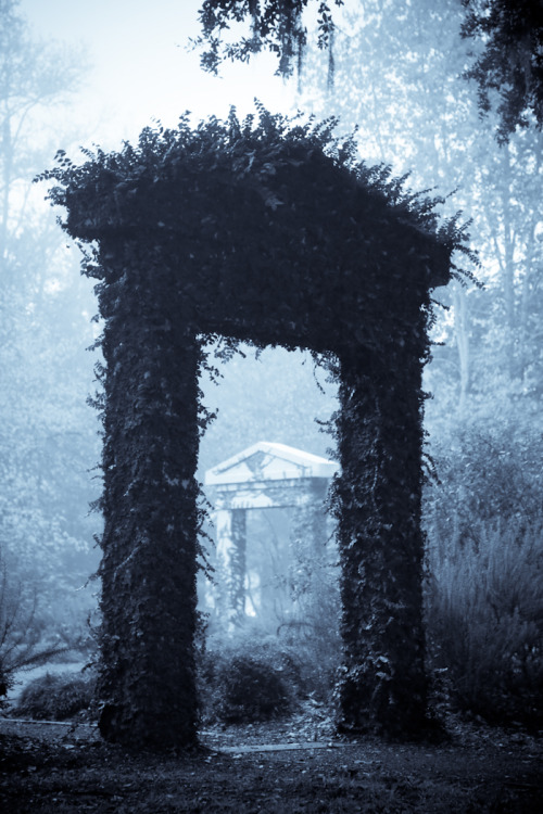 hueandeyephotography:Doorways in the Mist, porn pictures