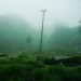 parsabad:Behshahr forest/ Mazandaran/ IranPhotographer: gholamreza ahmadi