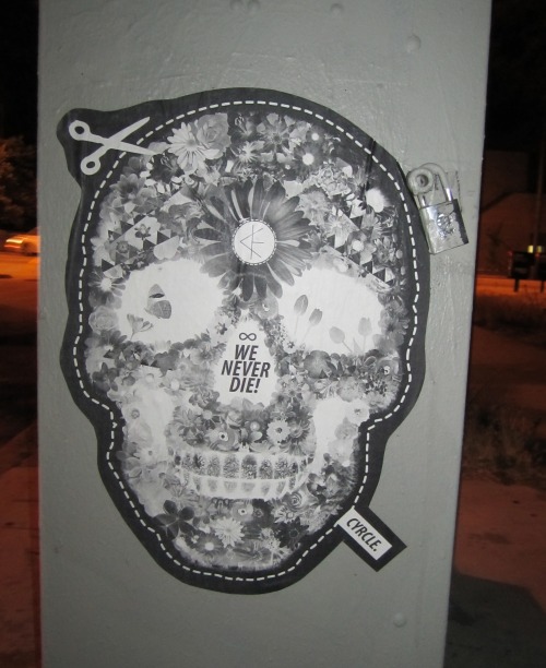 artbonerchronicles:  Ok, now I know that this piece was not part of the Organized Chaos show, but it was the first piece I ever saw by CYRCLE. and at that very moment, I totally fell in love. Jesse and I had just come from a free screening of the movie