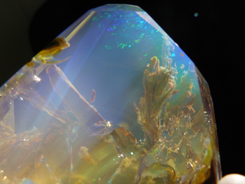 vazelodian:  Crystal Opal What makes the gemstone stunning is that it looks like an underwater view of the ocean floor as light shines through it. There’s a surreal quality about the gemstone that looks like a pocket-sized aquarium. The treasure is
