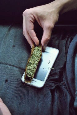 im-mr:    Stay high and check out my blog!