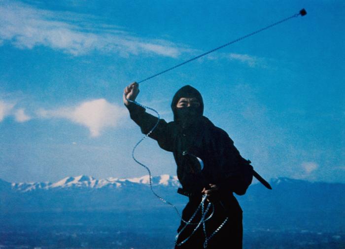 the-ninja-a-go-go:  Sho Kosugi : REVENGE OF THE NINJA 