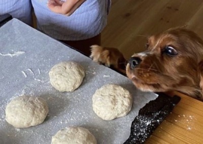 happyheidi:baking season 🧁
