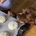 happyheidi:baking season 🧁