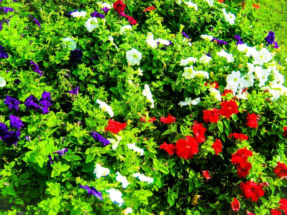 pictures I edited with photoshop