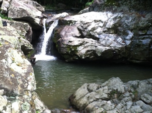 Laurel Creek Falls! For those of you who were wondering… <3