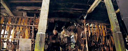 “They were never hazy about how much physical stuff I was gonna do in this film. Which is a go