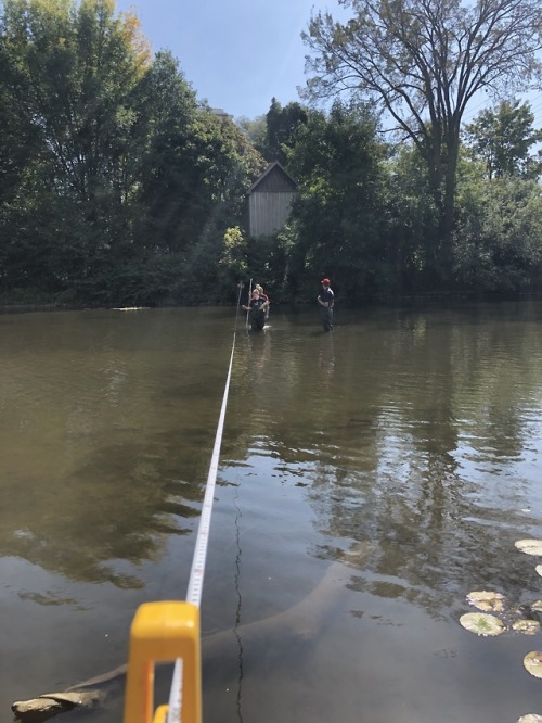 Had a great time at my stream gauging lab!