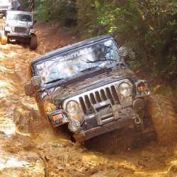 jeepbeef:  @Michaelklosky diggin in for Muddy