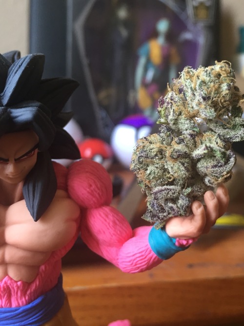drugdilla:  Goku supplyin’ the good tree. 