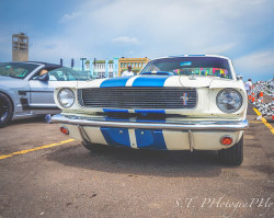 ford-mustang-generation:  Shelby GT350 by Wheels and Steel on Flickr.