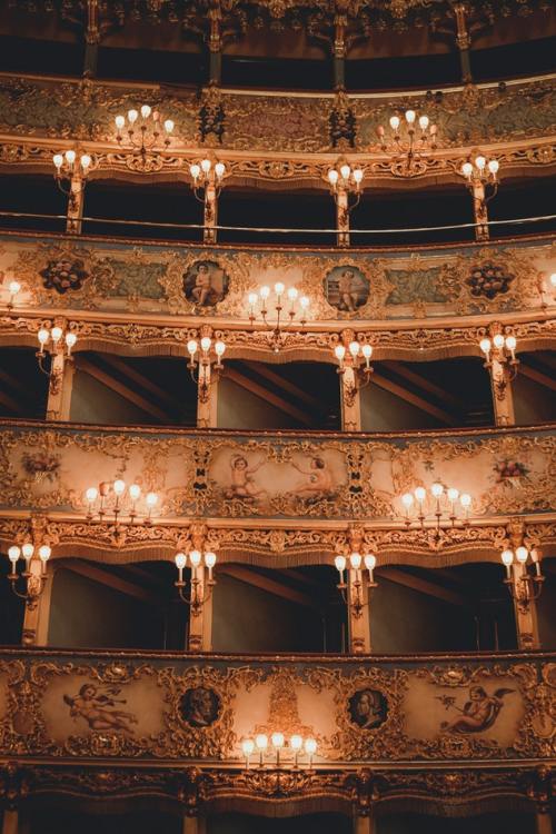 vintagepales2: Teatro La Fenice, Venice Italy