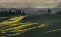 morethanphotography:  morning light by marveros