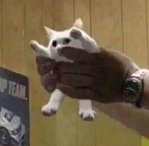 Boo
