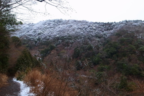 3.26 sunMorning ride.麓の雨は標高を上げるにつれて雪に変わる。今シーズン最後のSnow rideになるだろうか。♫この道の向こうに / 巨勢典子https://youtu.be/0