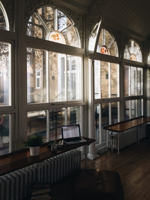 (evening light in the orangery)